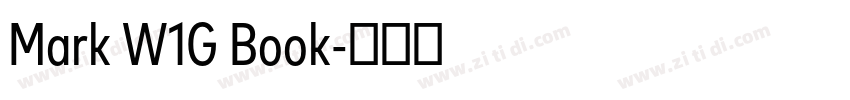 Mark W1G Book字体转换 Mark W1G Book字体转换